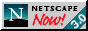 netnow3.gif (1885 bytes)